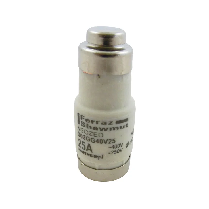 最安価格 W213160 - D02GG40V25 Fuses | Mersen ヒューズ