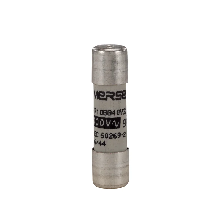 E083954 - FR10GG25V32P Fuses | Mersen