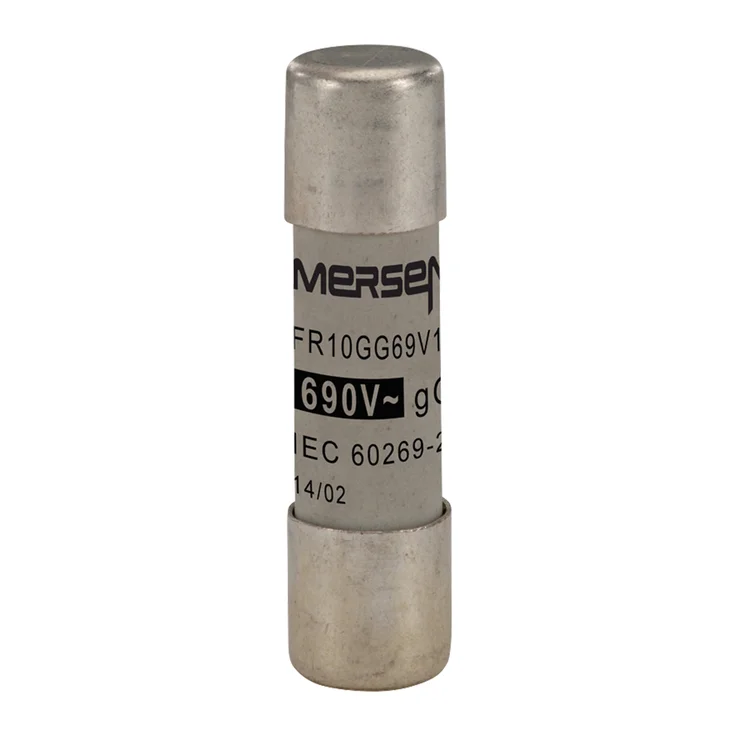 R302787 - FR10GG69V1 Fuses | Mersen