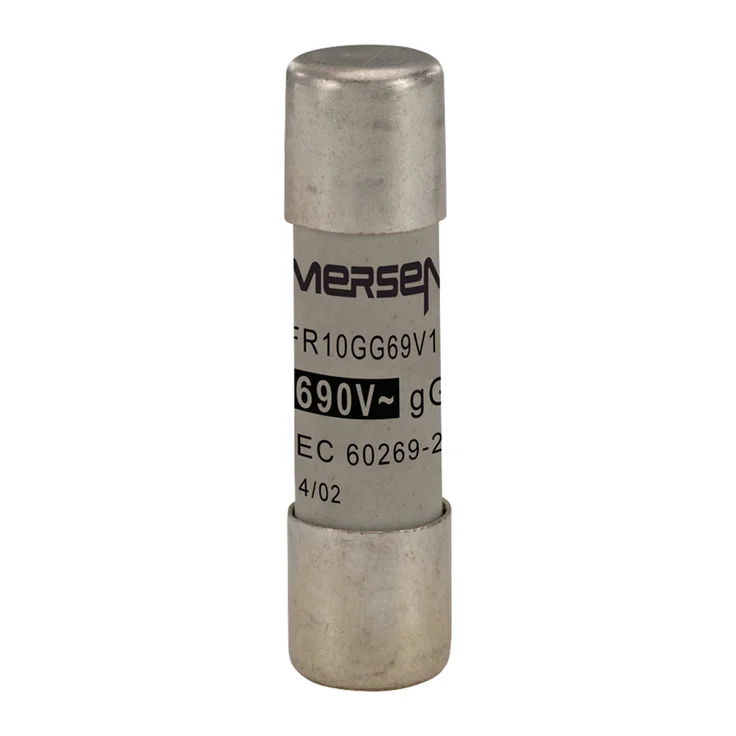 X302792 - FR10GG69V10 Fuses | Mersen