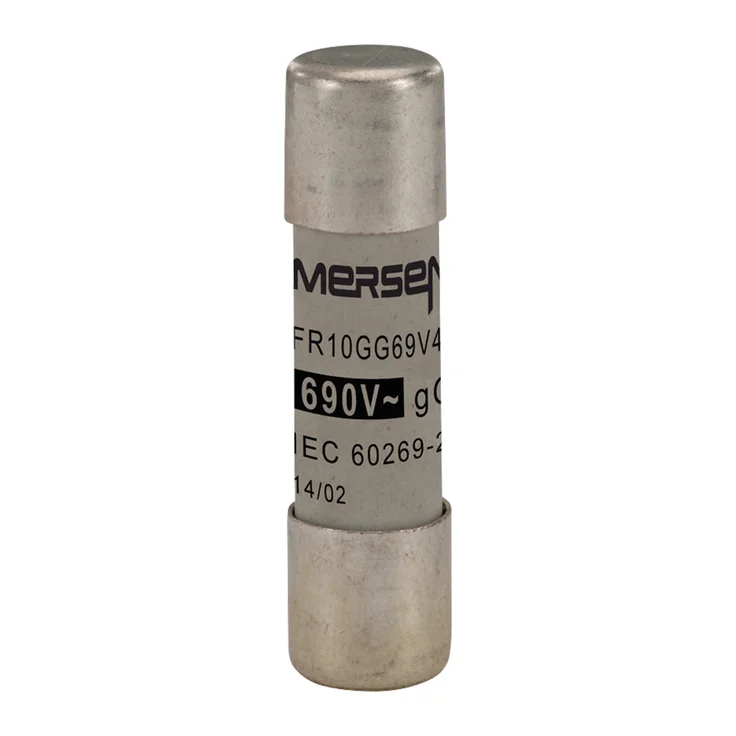 T302789 - FR10GG69V4 Fuses | Mersen