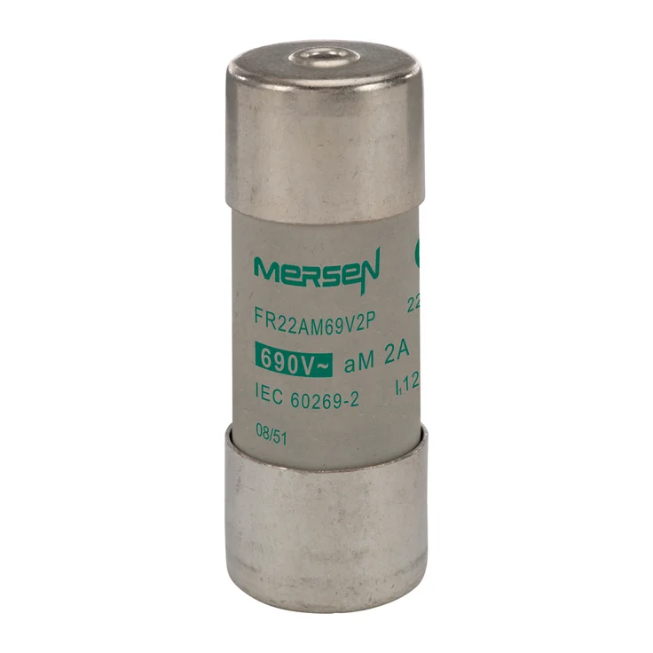◆ami9622◆ J216162 - FR22AM69V2P Fuses | Mersen