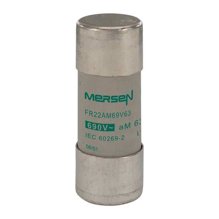 セルタン C215650 - FR22AM69V63 Fuses | Mersen