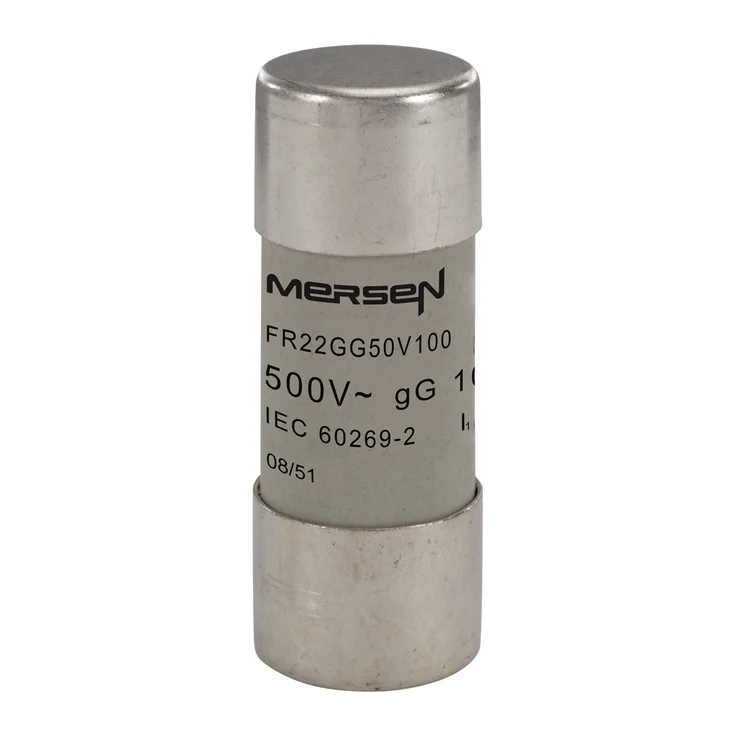 ゆうじ　No.8 No.T5 E218205 - FR22GG50V100 Fuses | Mersen
