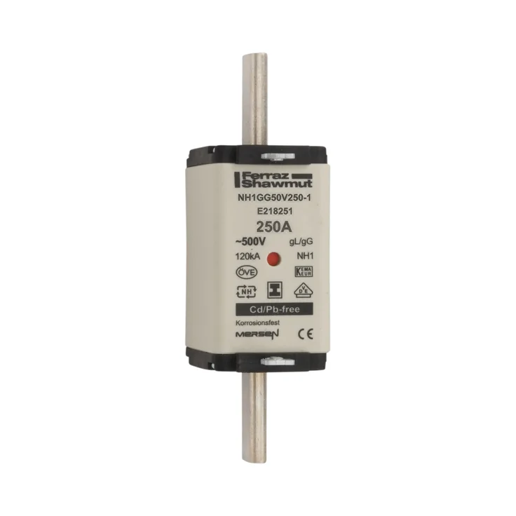 ヒロシ E218251 - NH1GG50V250-1 Fuses | Mersen