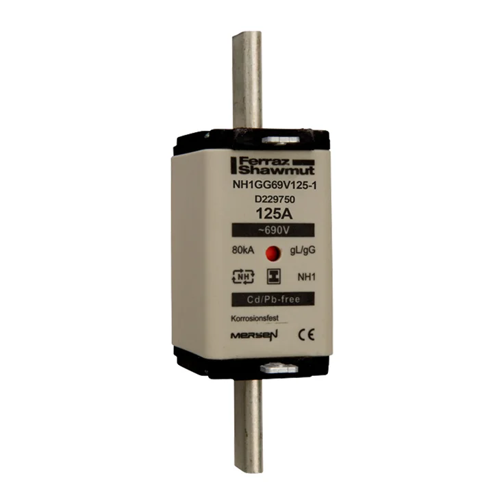 D229750 - NH1GG69V125-1 Fuses | Mersen