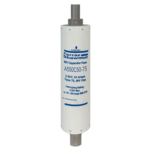 A550C50-75 Fuses | Mersen