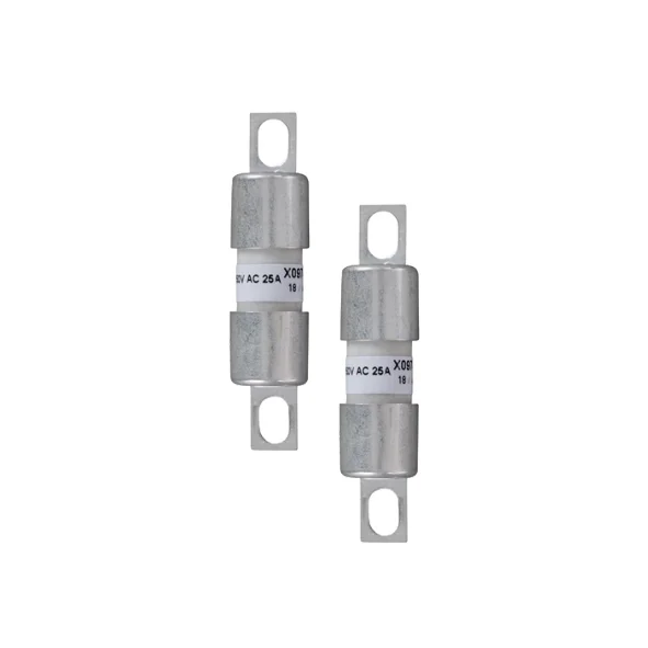 R076651 - BS17US25V25 Fuses | Mersen