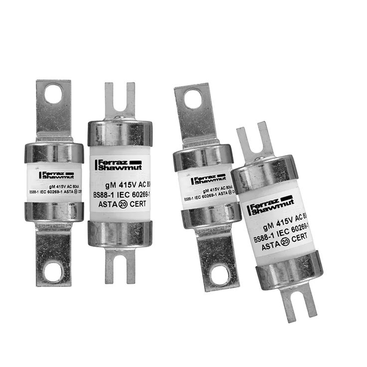 RS PRO 管ヒューズ 25A 6.3 x 32mm 440V ac (タイムラグ) | RS
