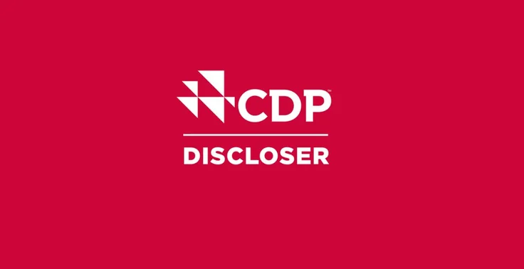 CDP discloser on a red banner