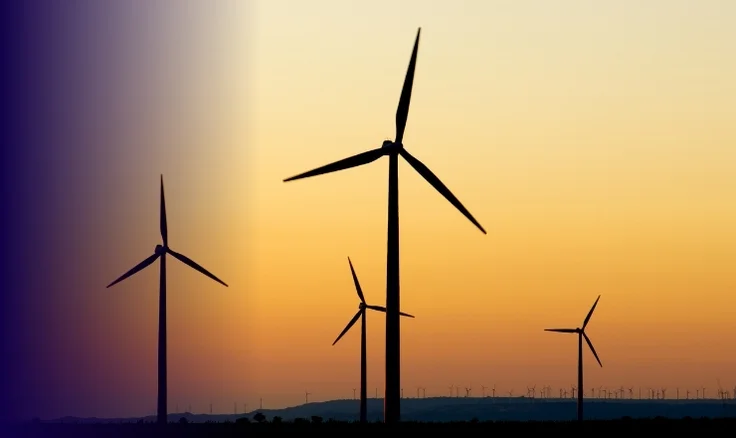 wind turbines in a rural setting